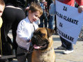 protest29-10-11_1_th