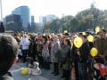 protest29-10-11_1_th