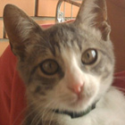 Tindi