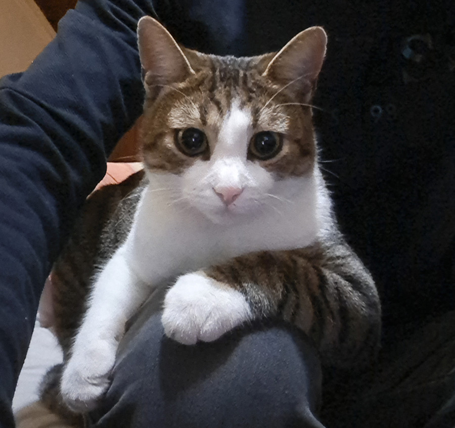 Mica