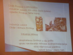 tribina-divlje 11