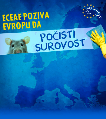 ECEAE-March-11-2015-event-banner-sr