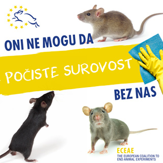 ECEAE-March-11-social-media-graphic-1sr