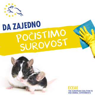 ECEAE-March-11-social-media-graphic-2-sr