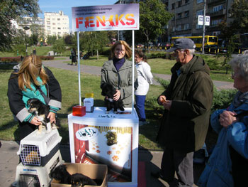 9-okt-stand