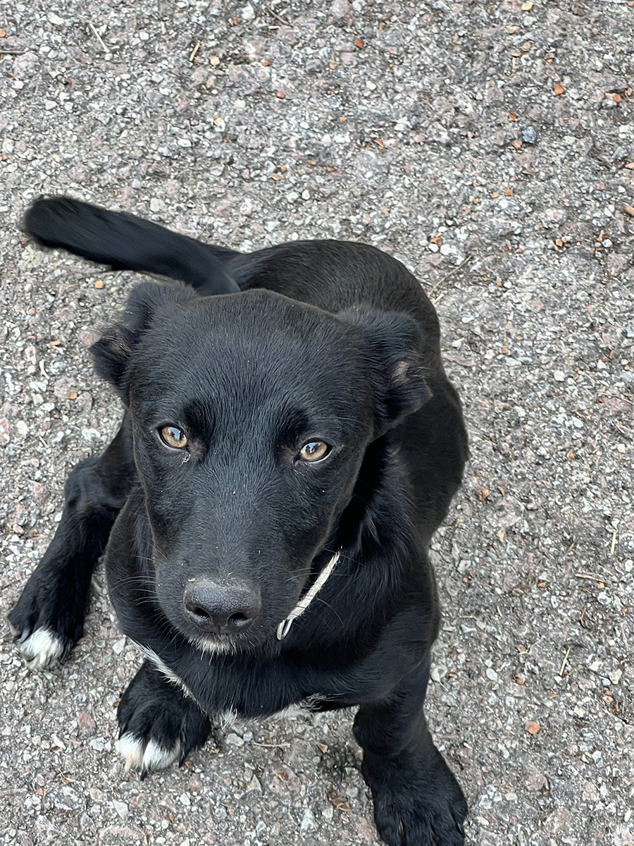 Kira